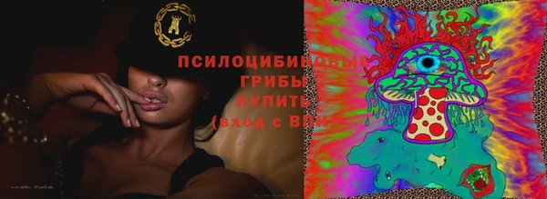 шишки Заводоуковск