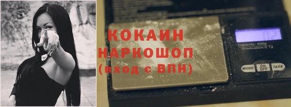 шишки Заводоуковск