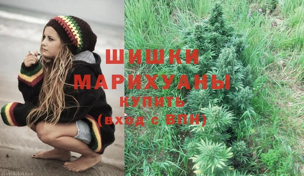 шишки Заводоуковск