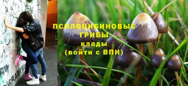 молекула духа Заволжск