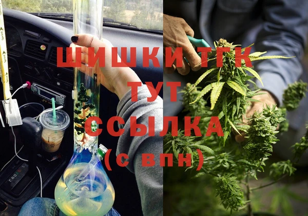 шишки Заводоуковск