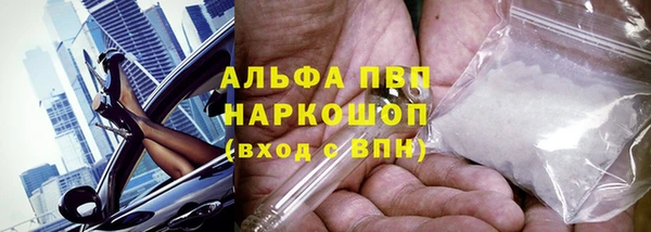 шишки Заводоуковск