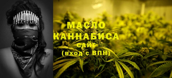 шишки Заводоуковск