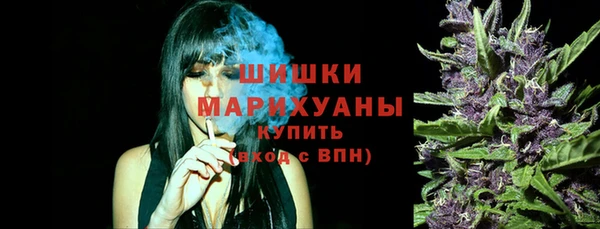 шишки Заводоуковск