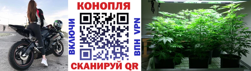 Купить закладки  Рошаль  Бошки Шишки Ganja 